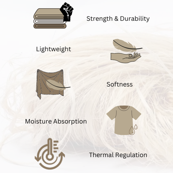 Fiber