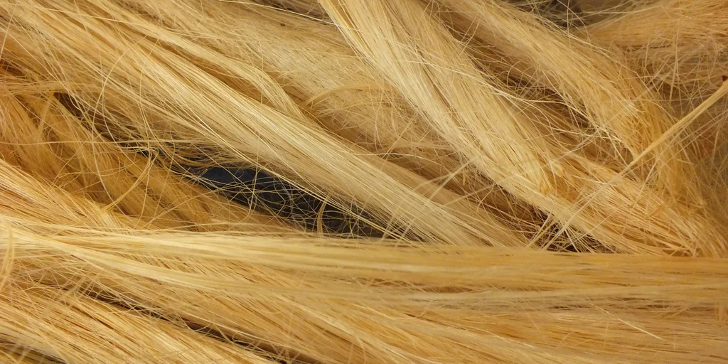 Fiber